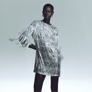 Zara silver sequin fringe mini dress